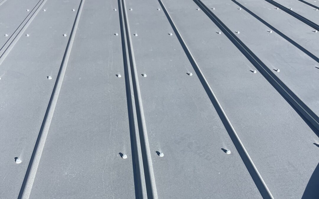 Why Metal Roofing on Houses Is Perfect for Tampa’s Climate?