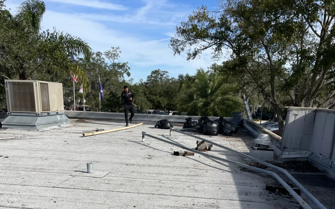 Flat Roofing Specialists