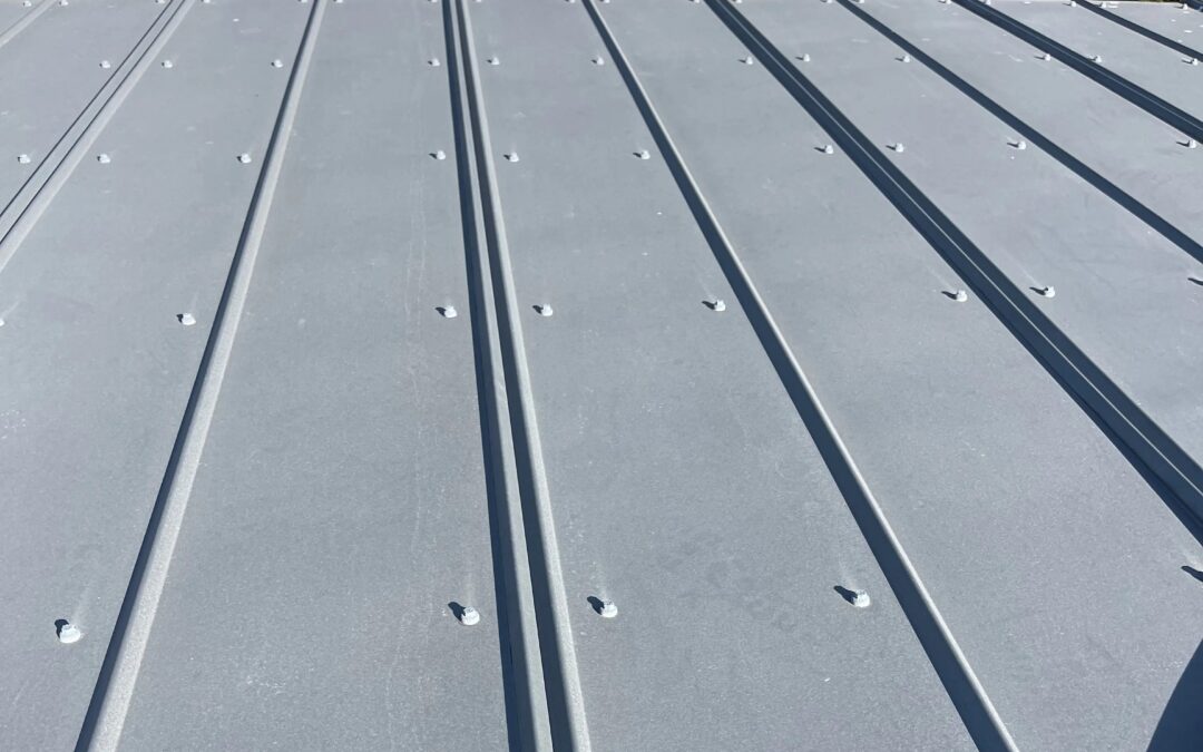 Commercial Roofing Solutions in Tampa Bay
