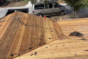 Thermoplastic Polyolefin Roofing in Tampa Bay