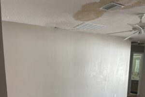 Water Leak Roof Repair in Tampa Bay
