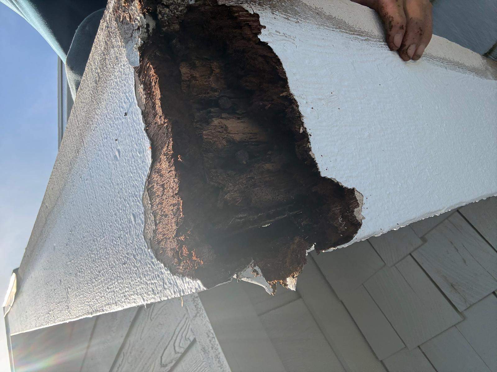 Rotted roof wood removed during a Palm Harbor re-roof